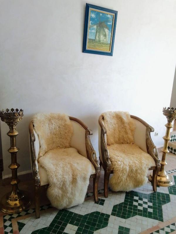 RIAD REDWAN - image 8