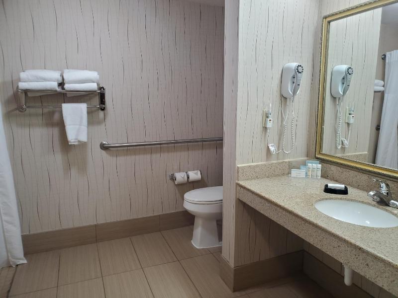 King Room with Sofa Bed and Roll-In Shower - Mobility Access/Non-Smoking image 2