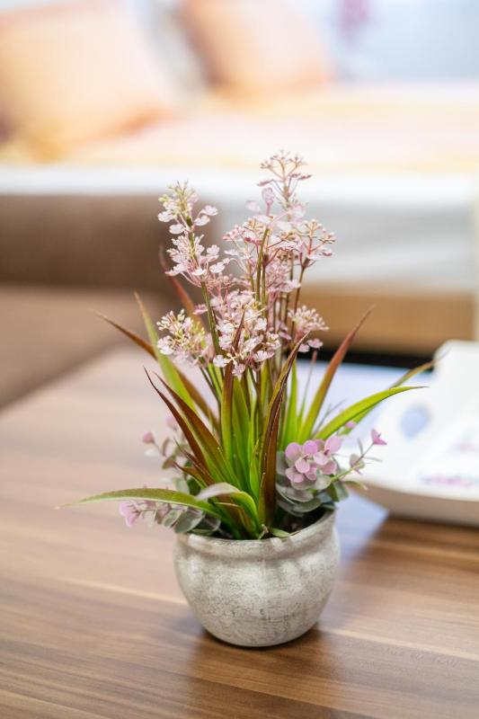 Guesthouse Rose - image 11