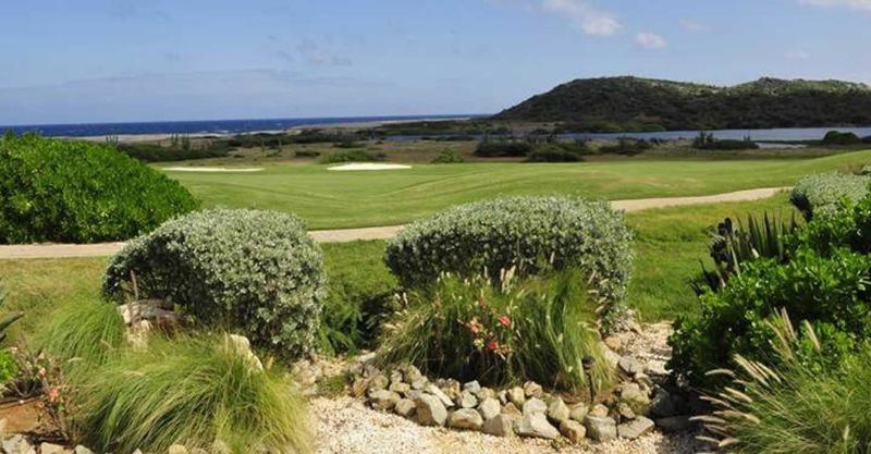 Tierra Del Sol...OCEAN FRONT GOLF AND TENNIS RESORT CONDO - image 9