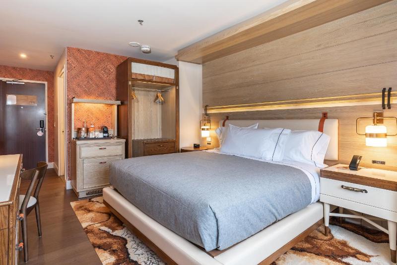Deluxe King Room image 1