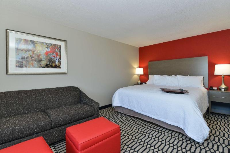 King Studio Suite - Non-Smoking image 4