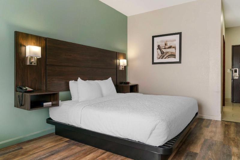 King Room with Walk-in Shower - Disability Access image 3