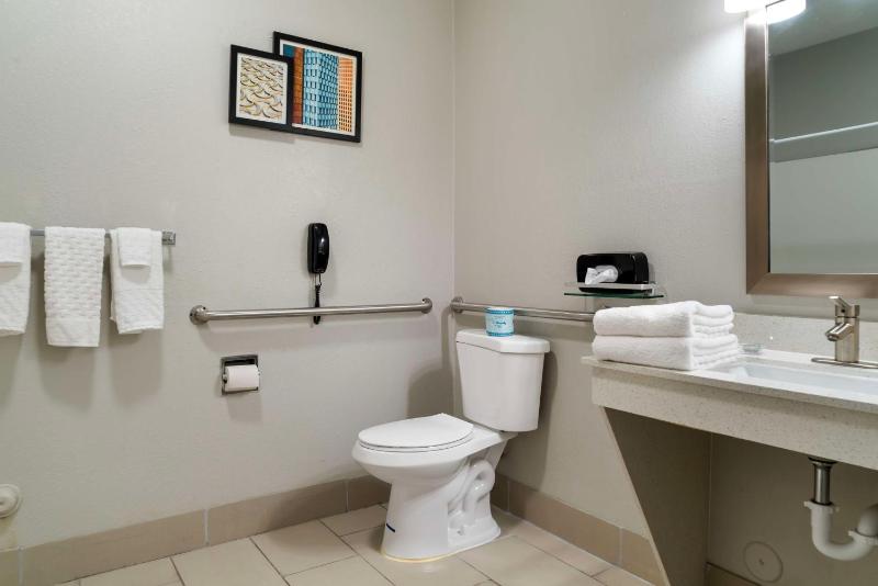 King Room with Walk-in Shower - Disability Access image 2