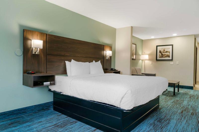Large King Room image 1