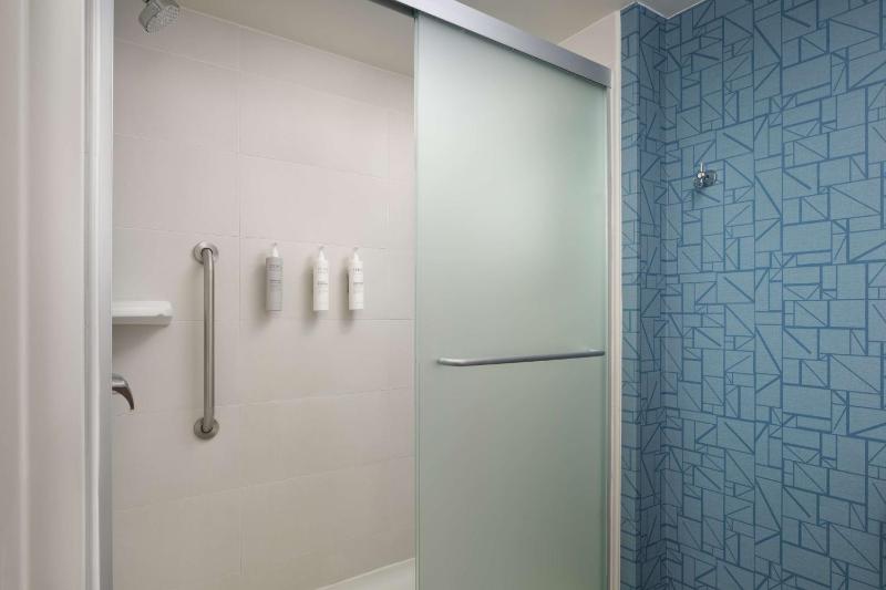 King Studio Suite image 4
