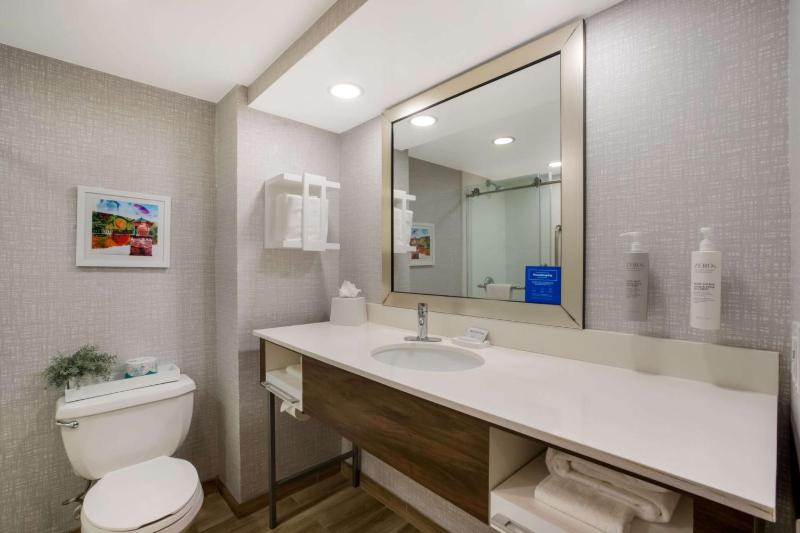 King Suite - Non-Smoking image 3