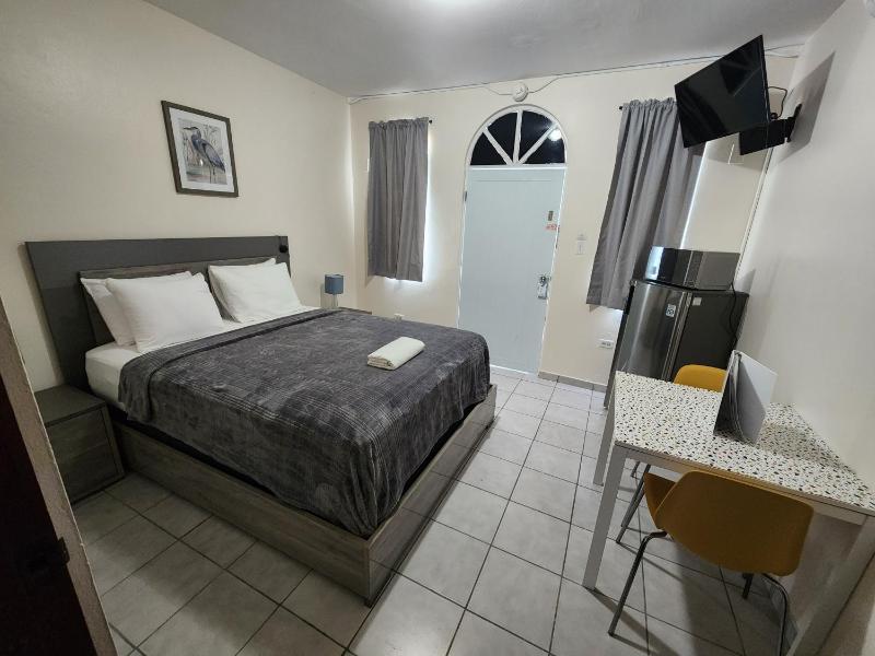 Double Room - Disability Access image 3