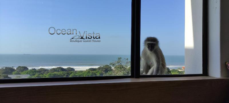 Ocean Vista Boutique Guest House - image 12