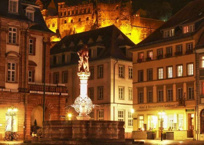 Hotel Goldener Falke - image 1