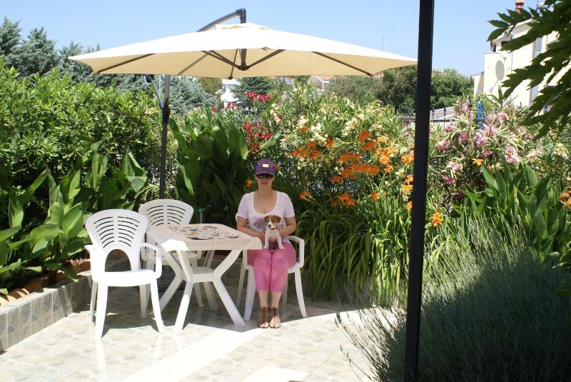 Studio with Garden View image 4