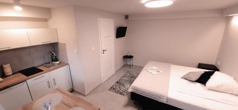 Studio with Terrace image 1