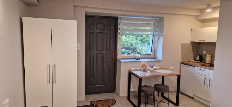 Studio with Terrace image 4