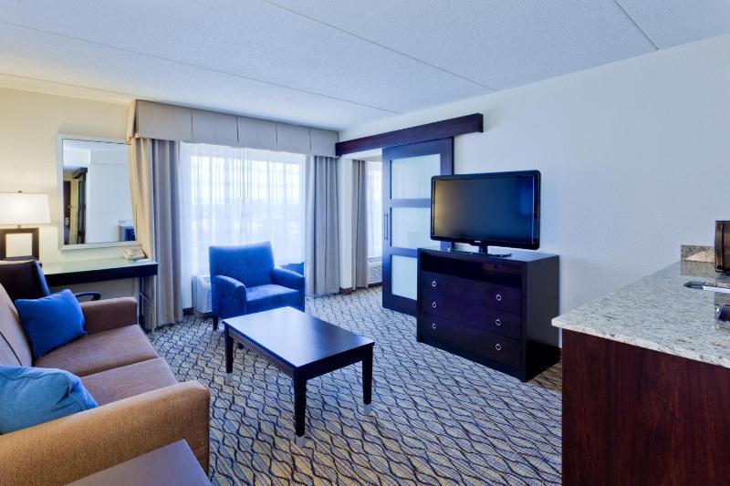 One-Bedroom King Suite image 4
