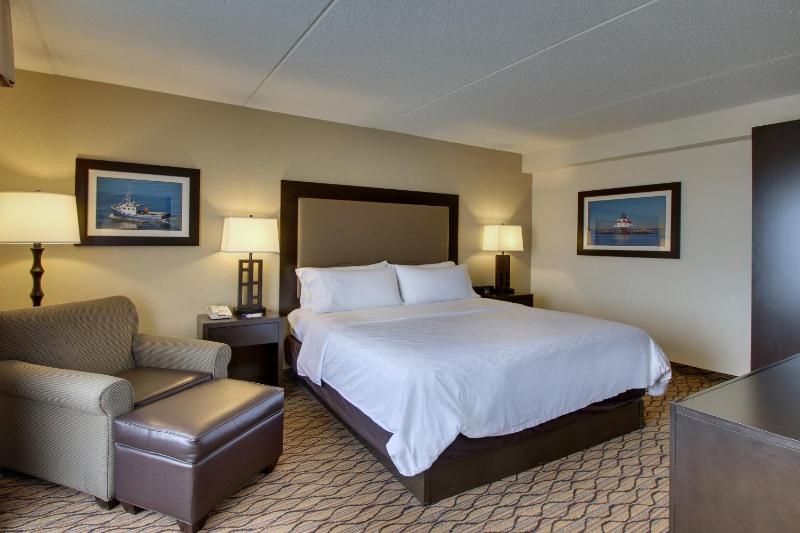 One-Bedroom King Suite image 2