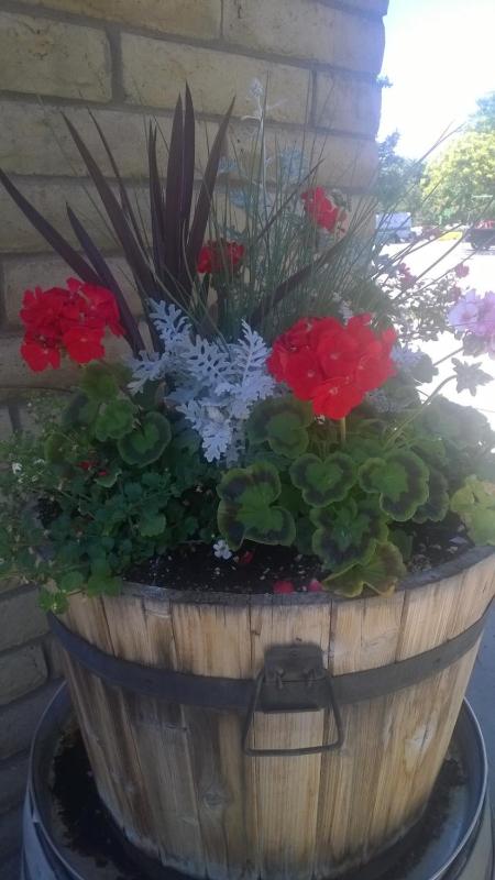 Rustic Inn - image 29