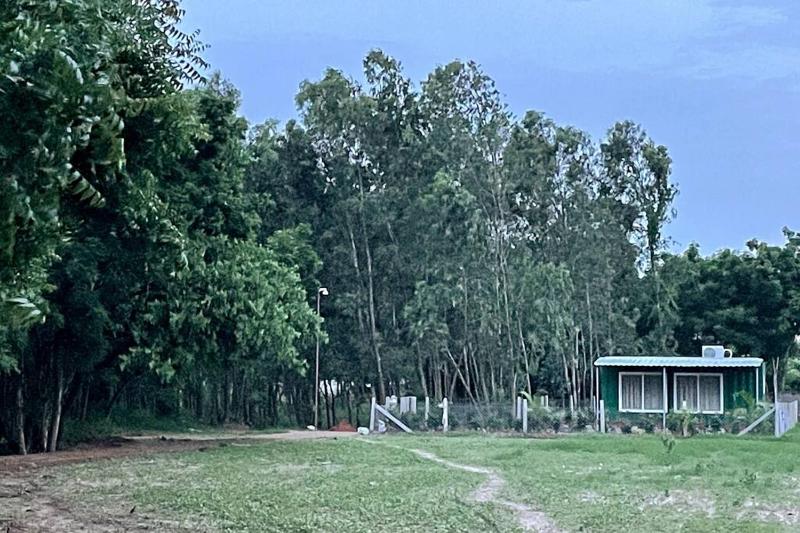 Jungle Cabin close by sea - image 23