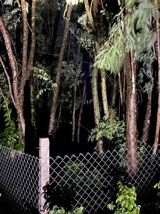 Jungle Cabin close by sea - image 8