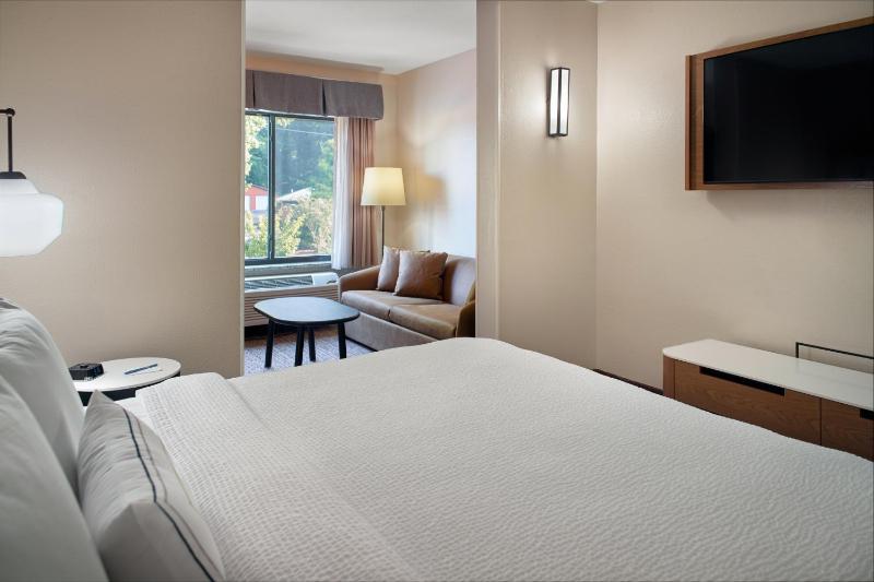 Suite, 1 King, Sofa bed image 4