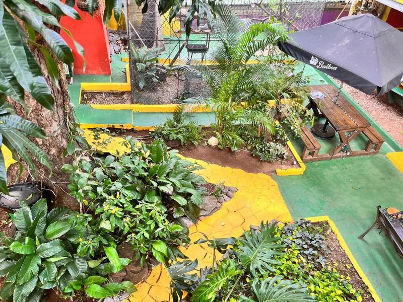 Panama House Bed & Breakfast - image 3