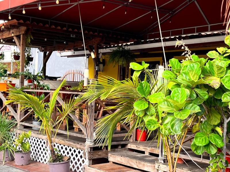 Panama House Bed & Breakfast - image 6