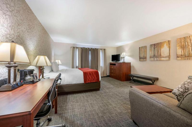 Large King Room - Non-Smoking image 1