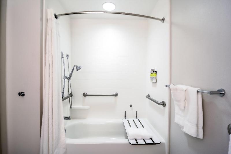 Holiday Inn Express Hotel & Suites Tampa-USF-Busch Gardens By IHG - image 36