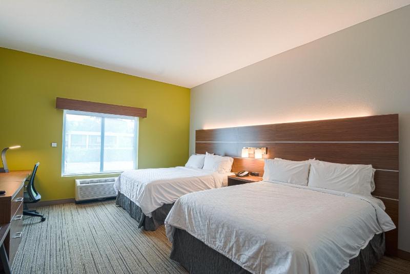 Holiday Inn Express Hotel & Suites Tampa-USF-Busch Gardens By IHG - image 6