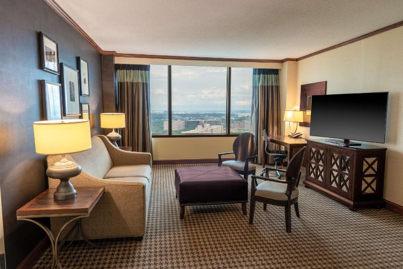 Deluxe King Suite - Non-Smoking image 4