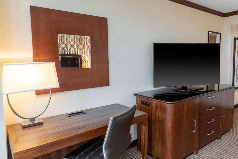 Presidential King Room image 3