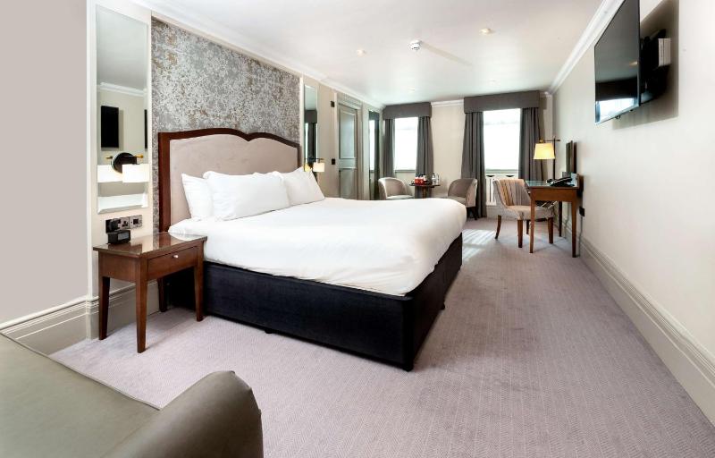 Superior King Guest Room image 4