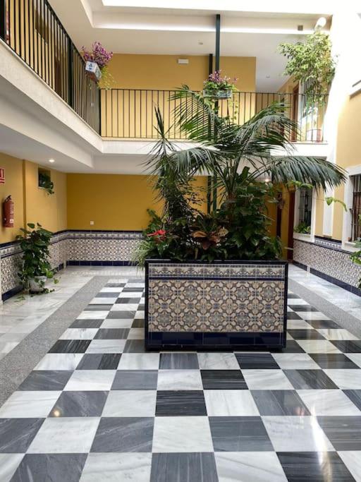 Centro de Sanlúcar La Plata 23 - image 6