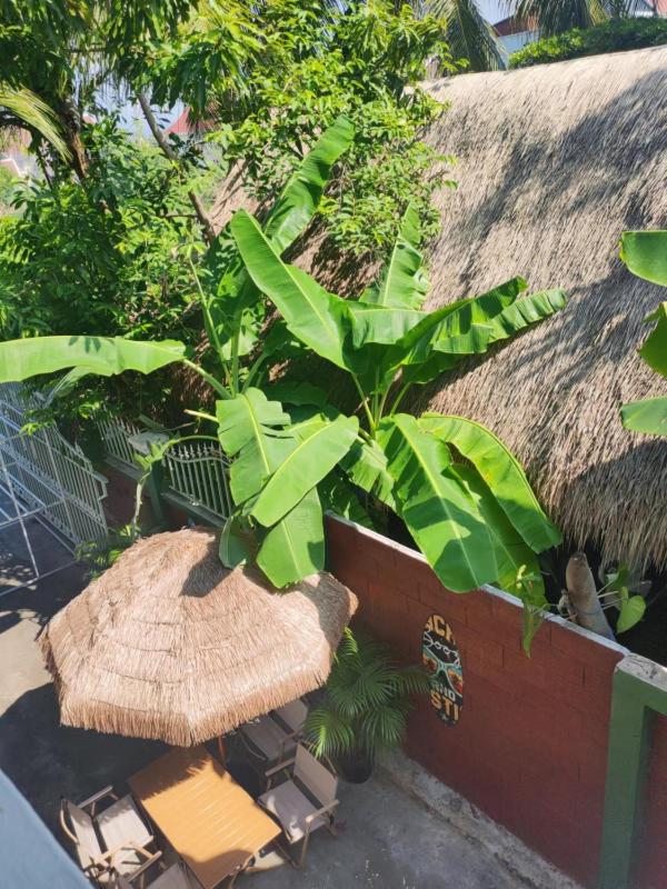 Phong lack Guest House - image 15