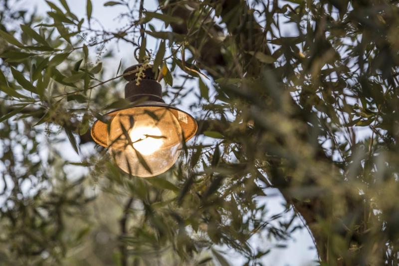 Vassilis Guest House - image 15