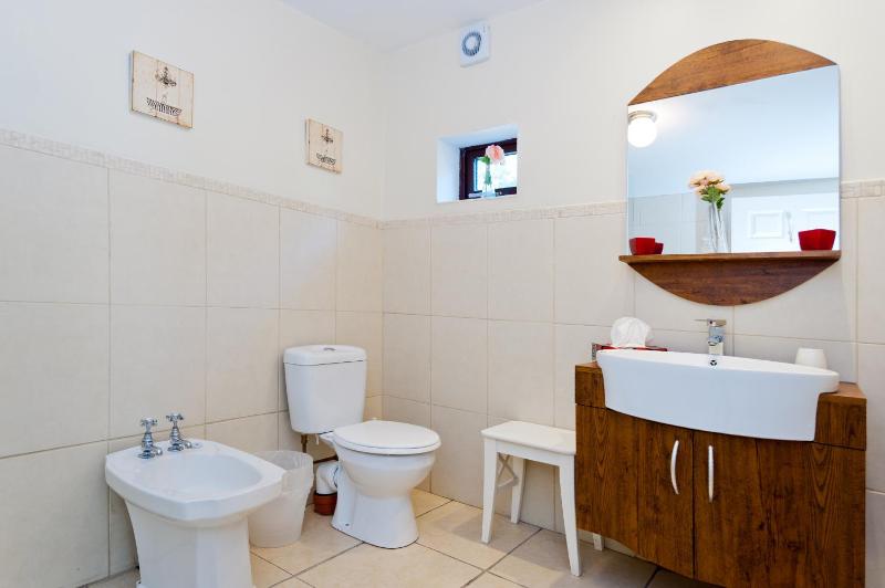 Dublin Vacation Rentals - image 2