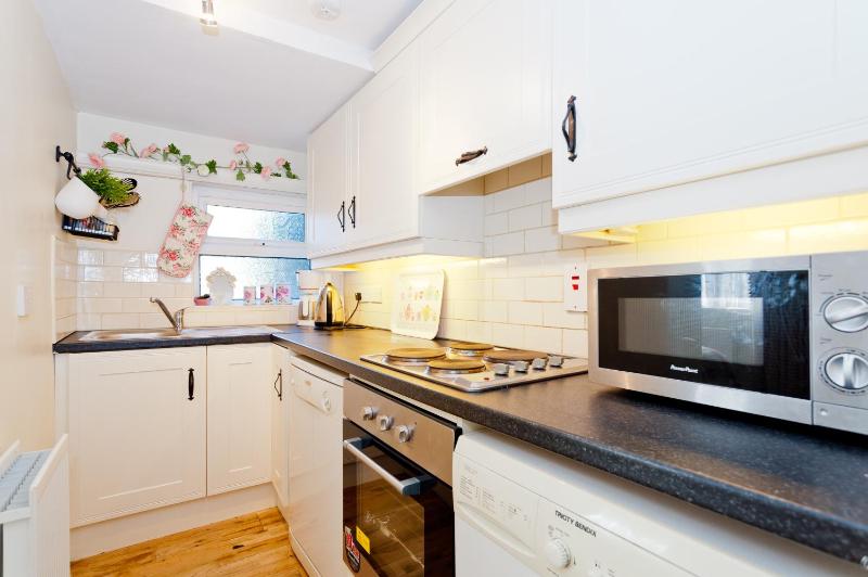 Dublin Vacation Rentals - image 5