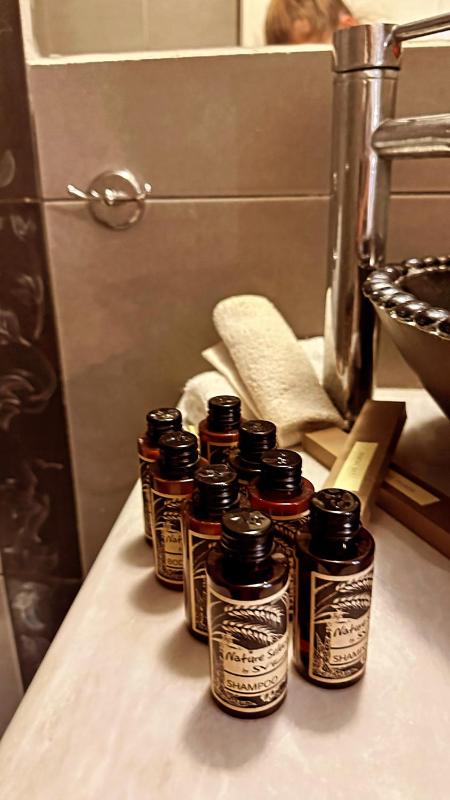 Superior King Suite image 3