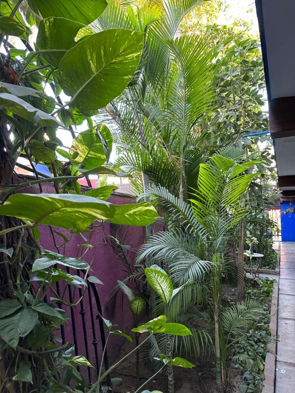 Siesta Suites Boutique Hotel - image 14