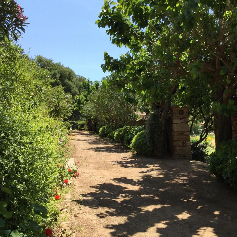 Le Manoir de Port-Cros - image 41