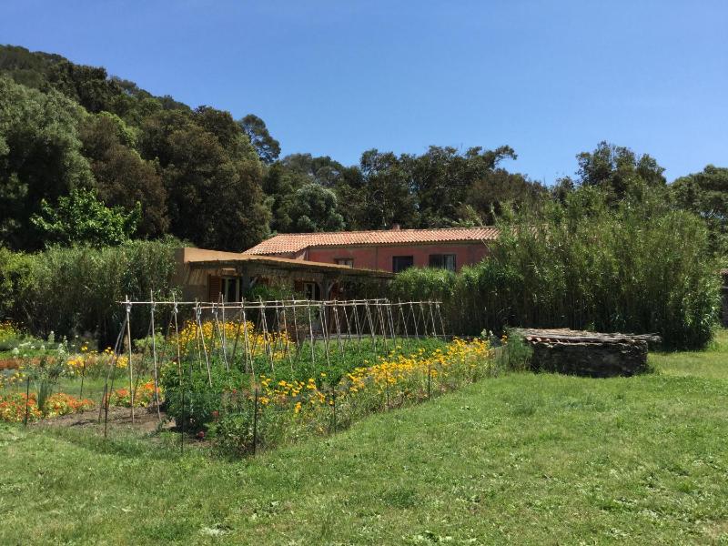 Le Manoir de Port-Cros - image 38