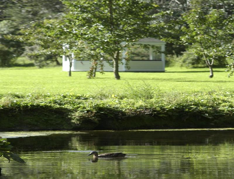 Rose in Vale Country House Hotel - image 50