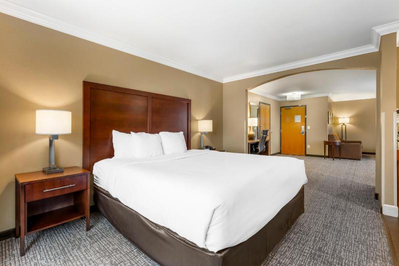 King Suite with Sofa Bed - Non-Smoking