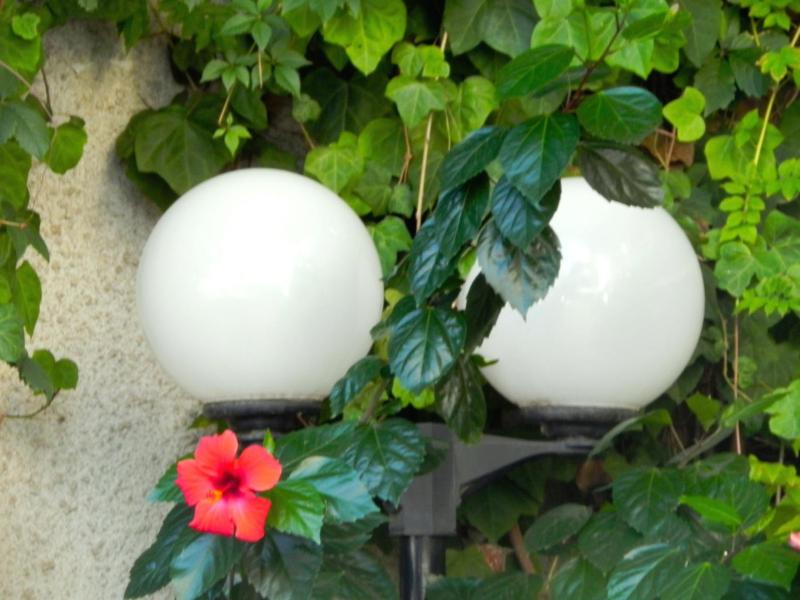 Torreata Hotel & Residence - image 12