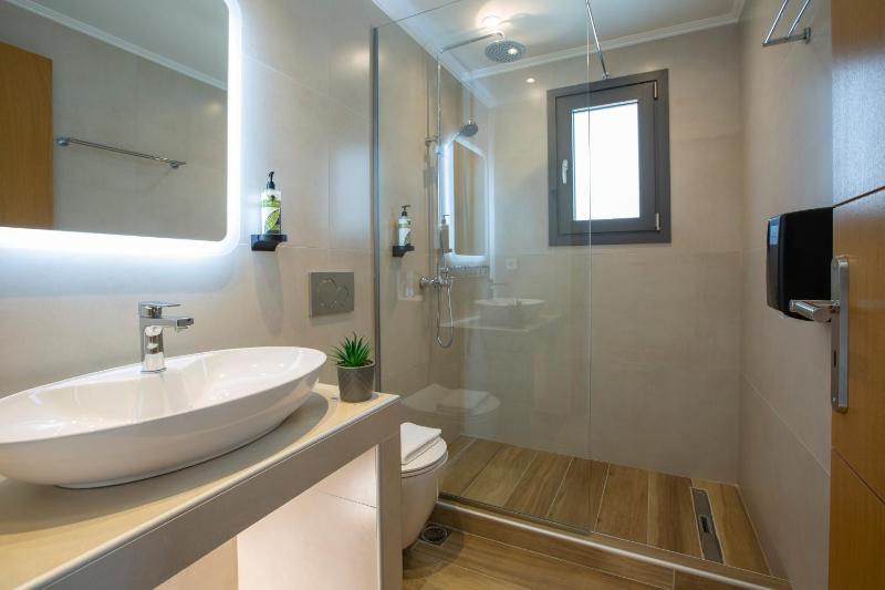 Deluxe Double Room image 1