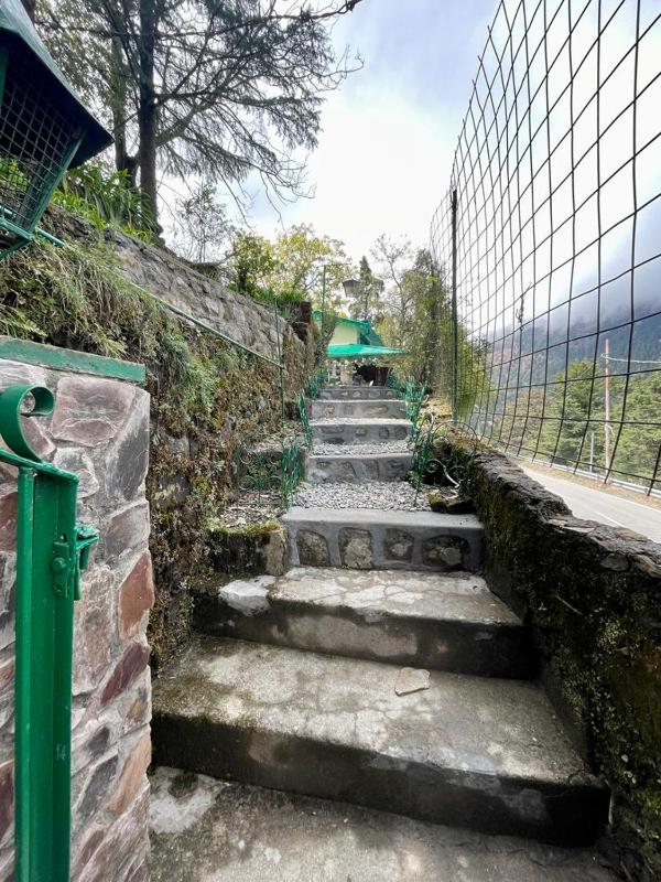 Rosastays Mallital Nainital - image 7
