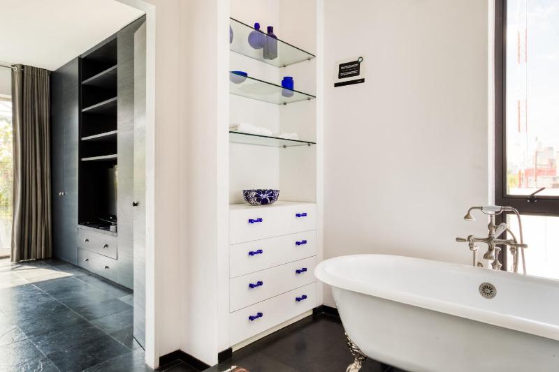 Luxurious Penthouse Central La Condesa W Terrace - image 6