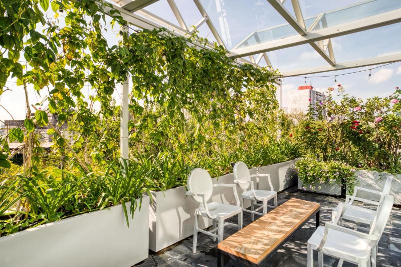 Luxurious Penthouse Central La Condesa W Terrace - image 41
