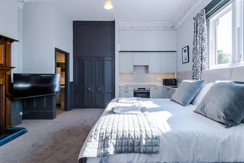 Supersized Studio in Chester - image 2