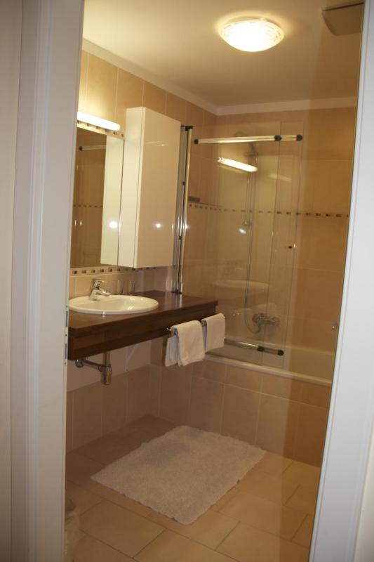 One-Bedroom Apartment image 2