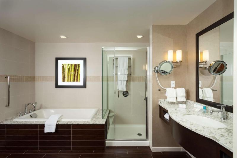 One-Bedroom King Suite image 2
